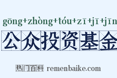 公众投资基金是什么意思的图片